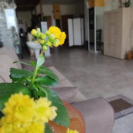 Borgo Pileri Bed and Breakfast