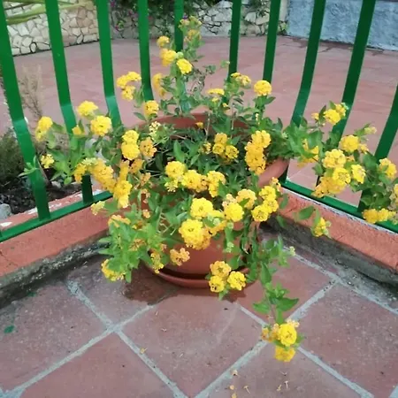 Borgo Pileri Bed & Breakfast